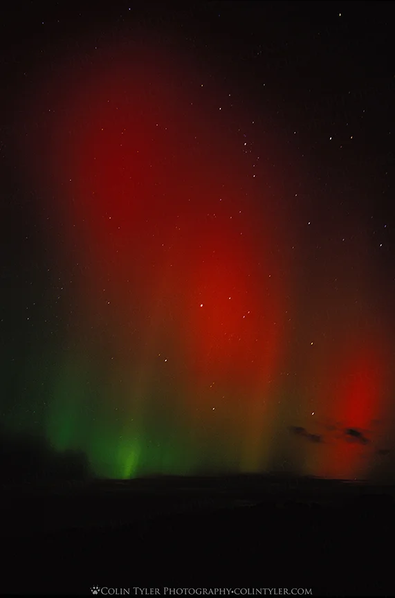 Aurora borealis near Forest Lake. This image was published in the Minneapolis Star Tribune
