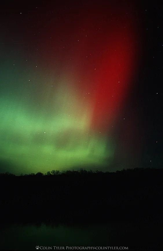 Aurora borealis over the St. Croix River