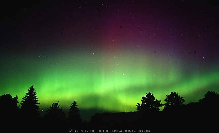 Aurora borealis at Wild River State Park