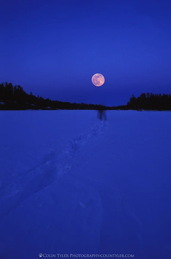 Snowshoeing self portrait and moonrise, Lac LaCroix, Boundary Waters Canoe Area. This image was a cover photo for the Minnesota DNR Conservation Volunteer Magazine