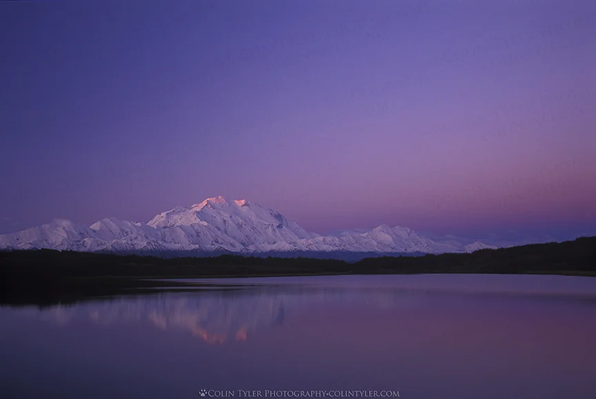 Denali3 copy.jpg