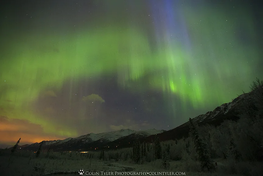 January Aurora at the Eagle River Nature Center