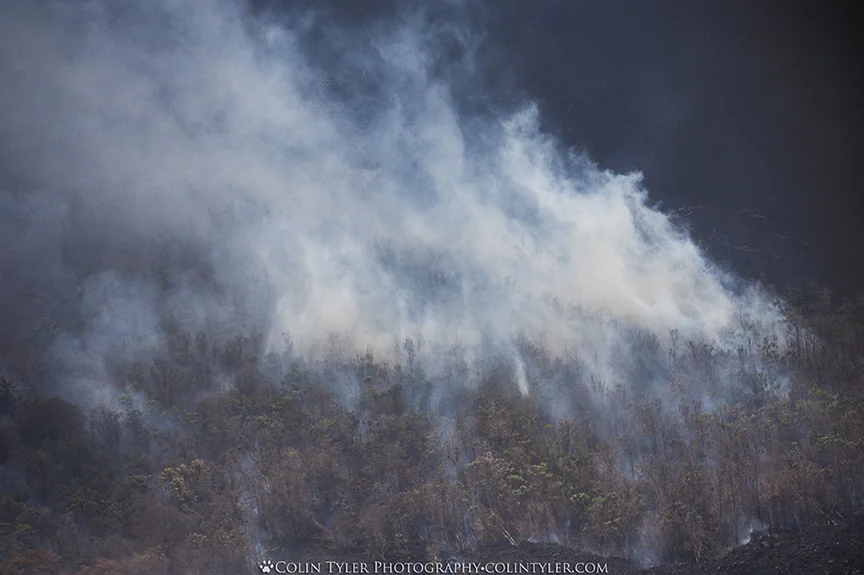 Wildfire along the lava river, Lower Puna District