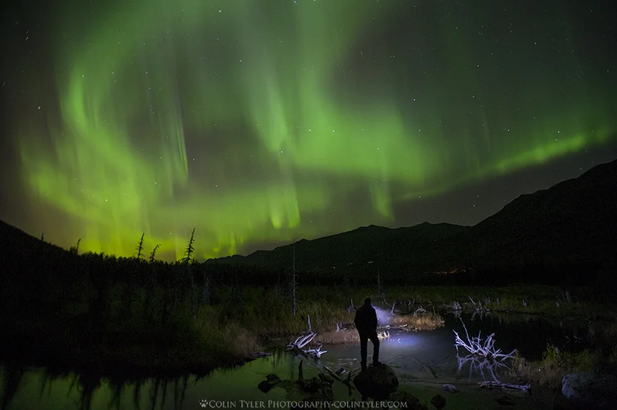 Self portrait under the aurora. Taken at the public use cabin, Eagle River Nature Center, AK.
