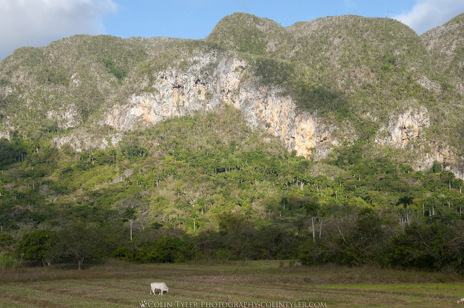 Sunrise Photo Tour, Viñales Valley