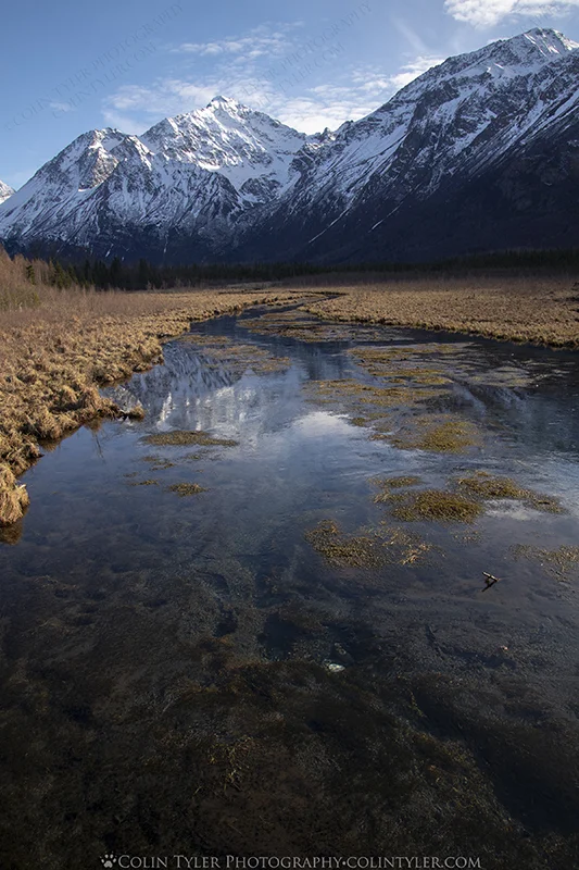 Spring at the Eagle River Nature Center