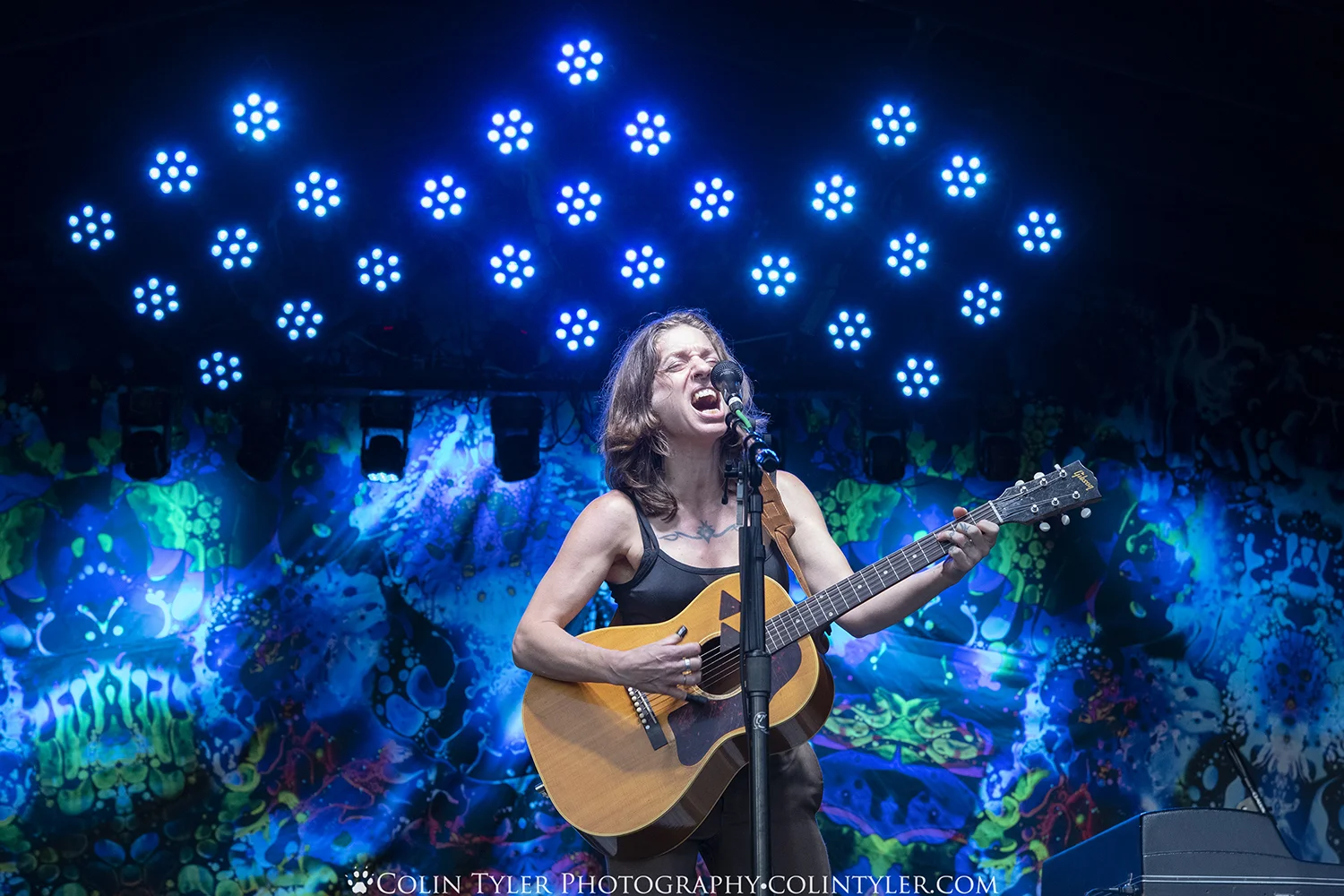 Ani DiFranco