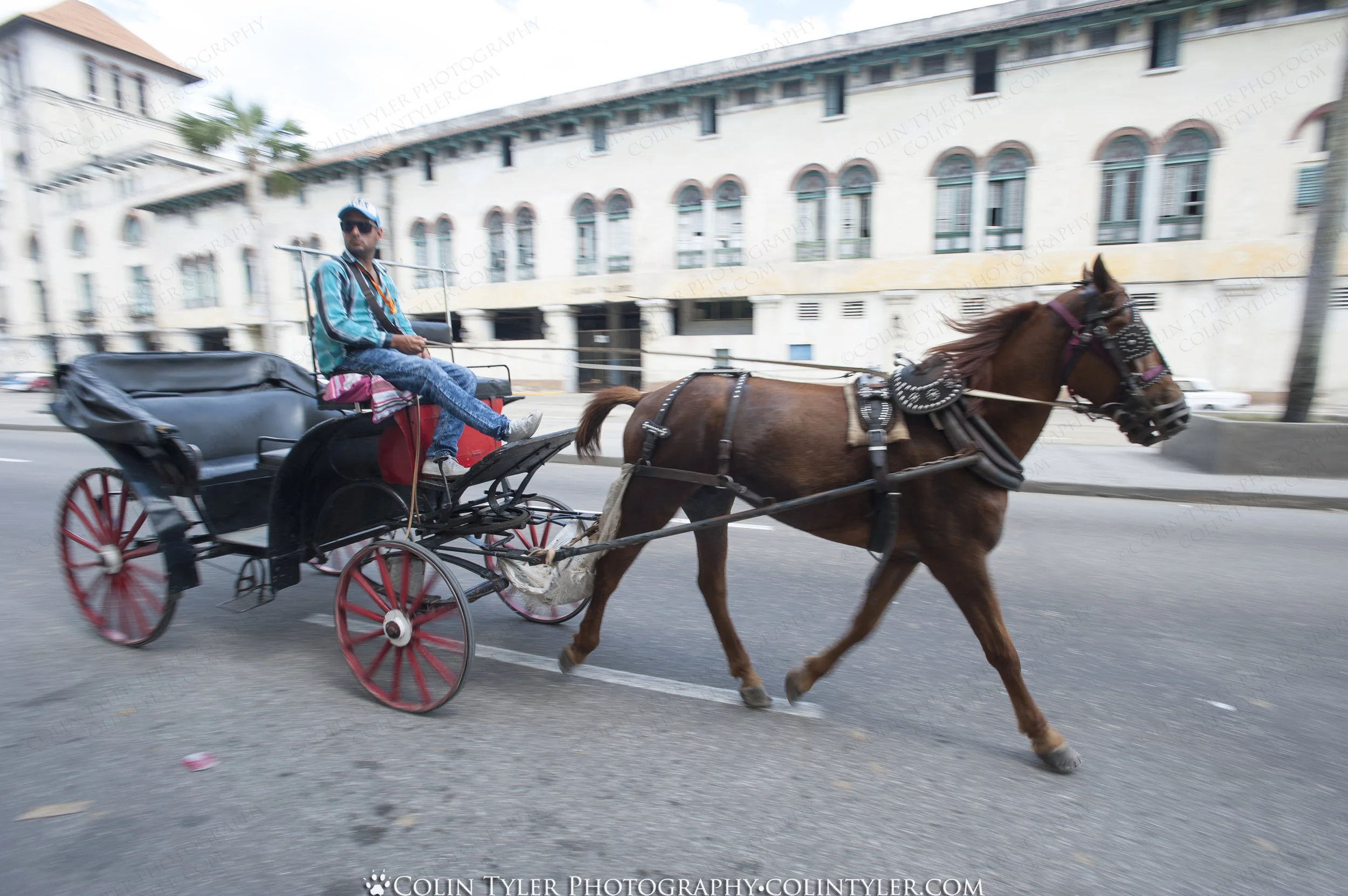 Havana Culture