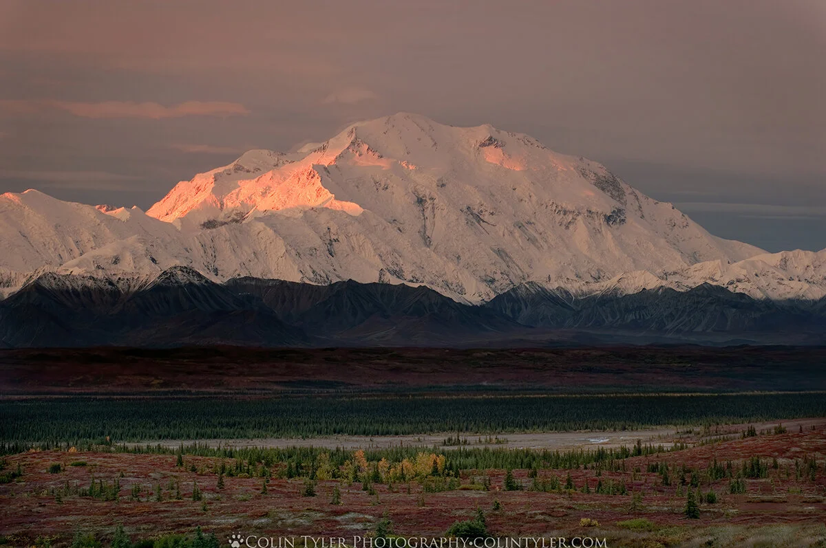 September Sunrise on Denali, Wonder Lake Campground