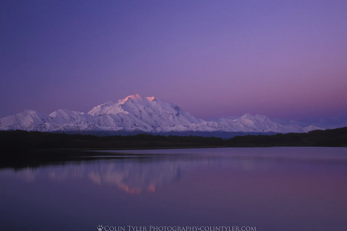Sunrise on Denali, Reflection Pond