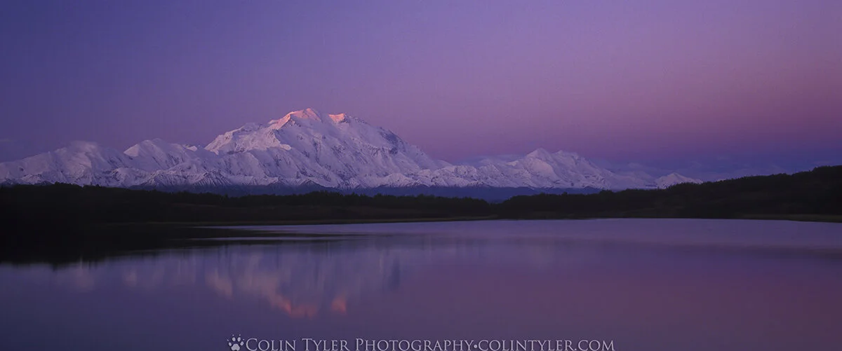 Sunrise on Denali Panoramic, Reflection Pond