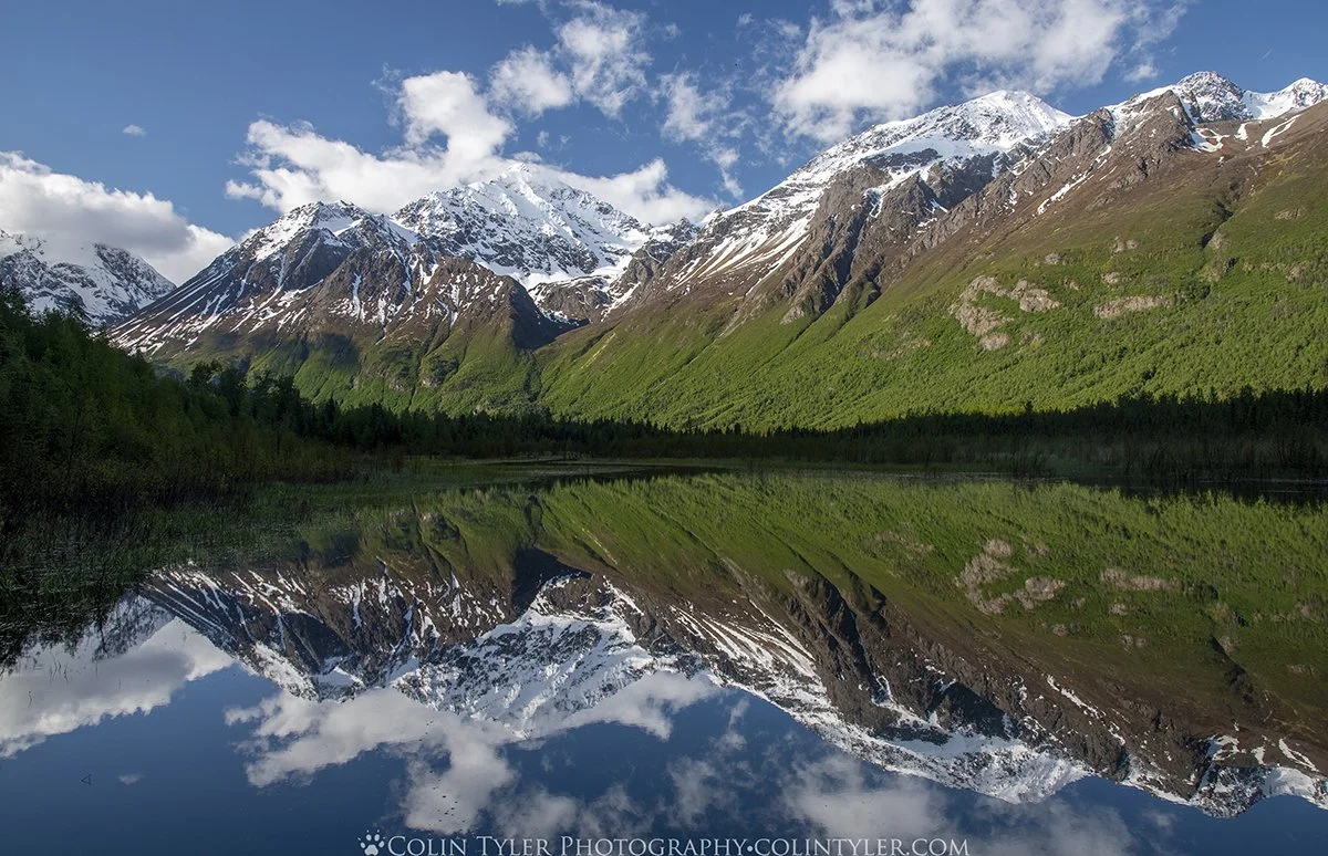 Spring Morning at the Eagle River Nature Center, Chugach State Park