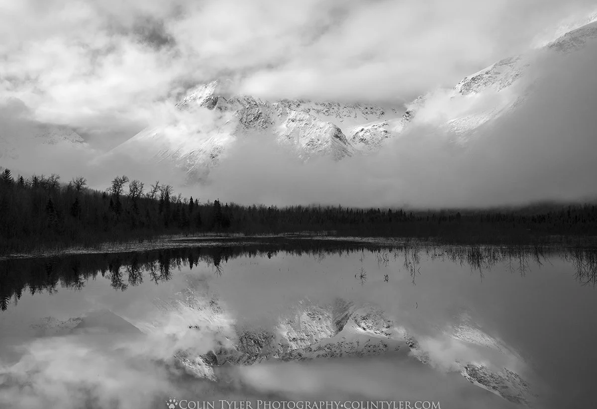 Spring Morning at the Eagle River Nature Center, Chugach State Park