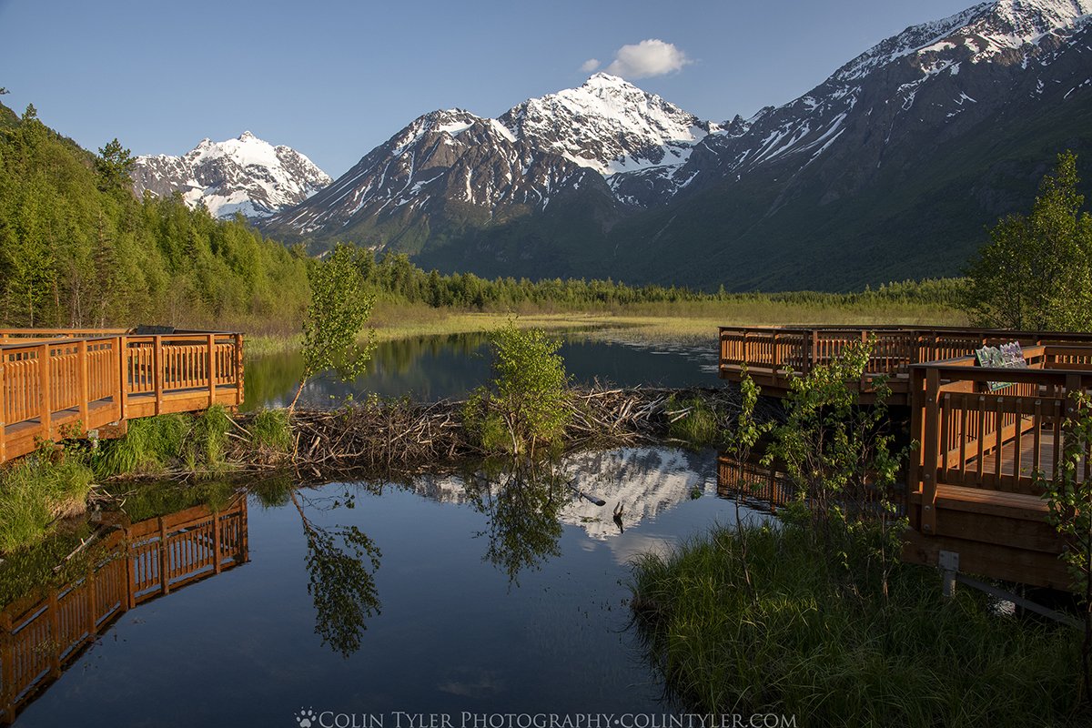 The Salmon Viewing Deck (rebuilt in 2022) and newly constructed beaver dam