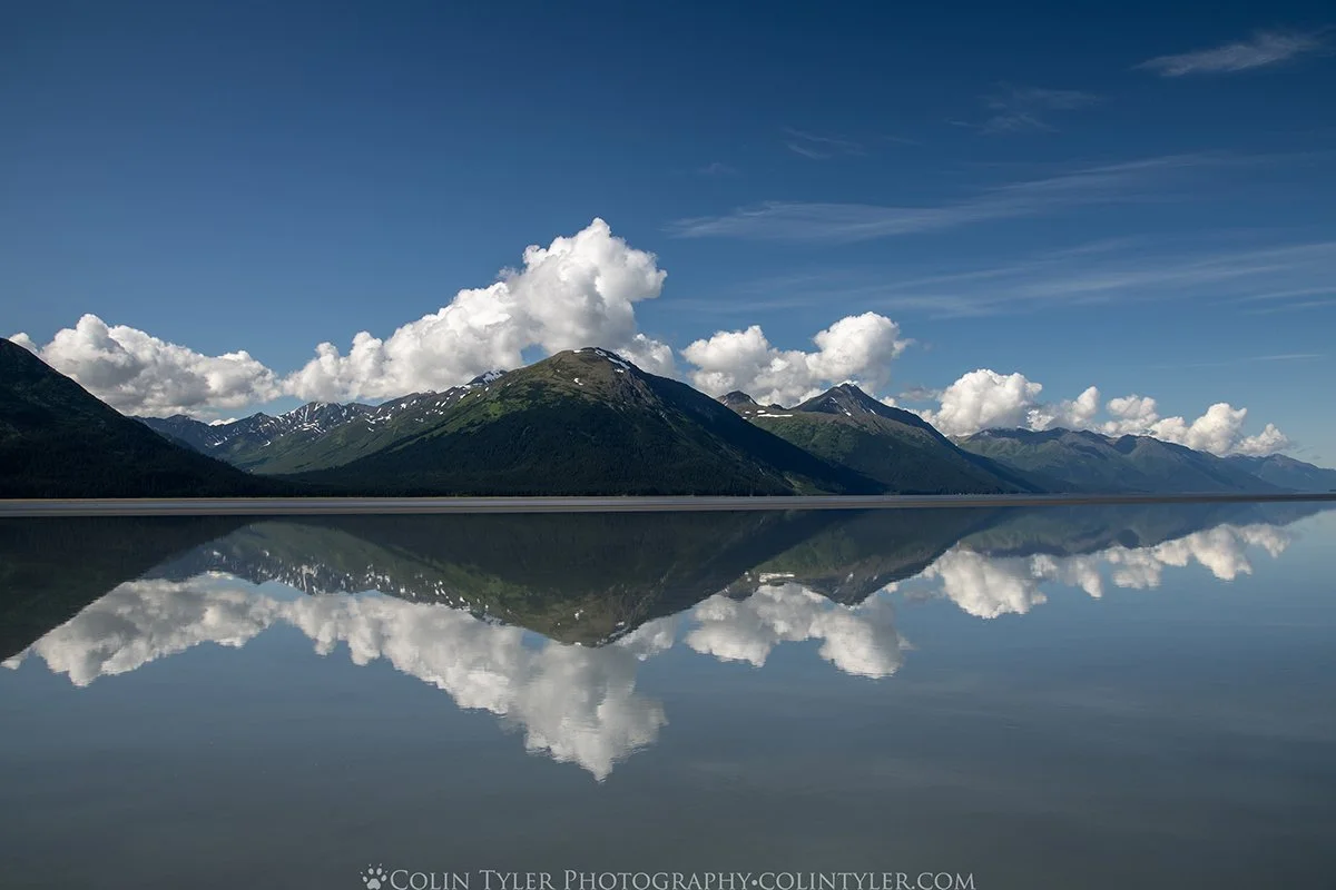 Turnagain Arm Reflection 