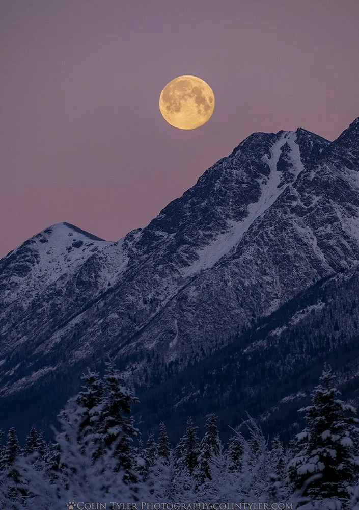 January 2026 Wolf Moon Setting over the Chugach Mountains. 
