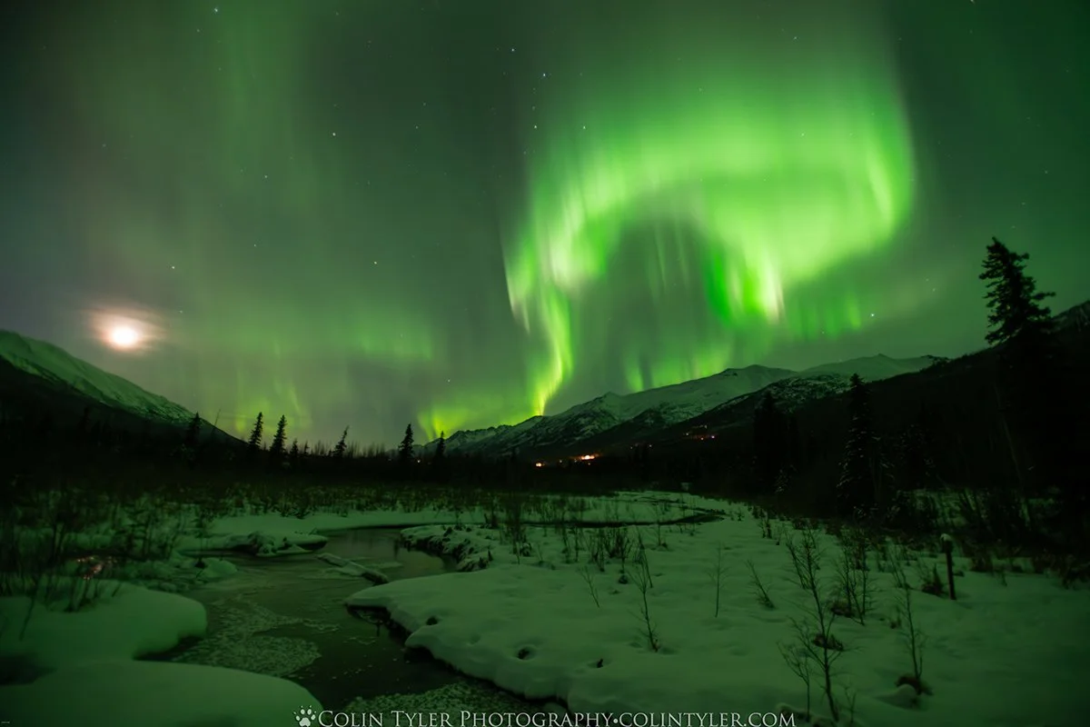 February aurora at the Eagle River Nature Center