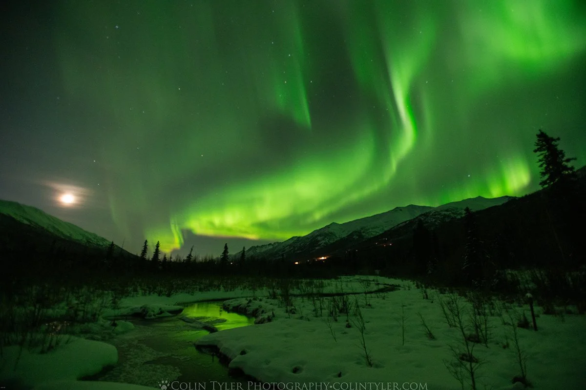 February aurora at the Eagle River Nature Center