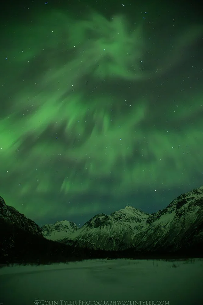 February aurora at the Eagle River Nature Center