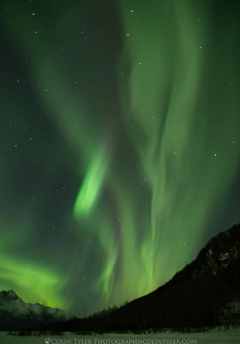 Aurora in Knik River Valley