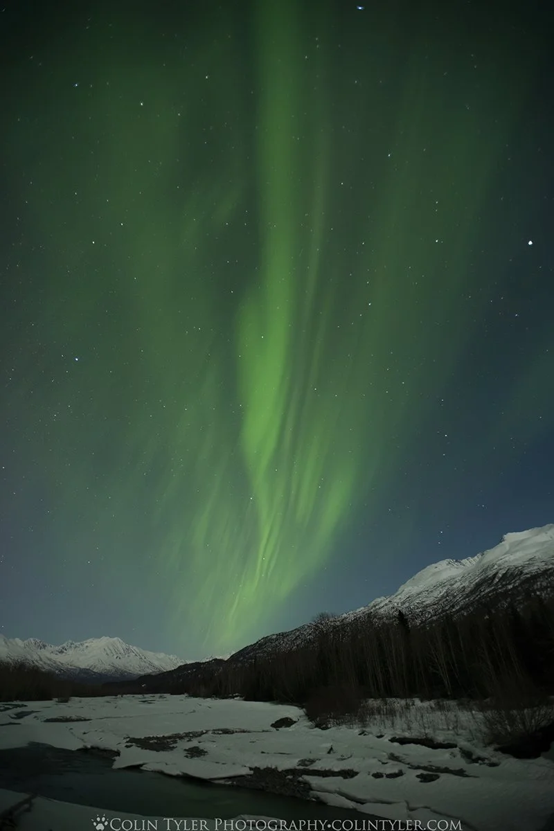 Aurora over the Matanuska Mountains
