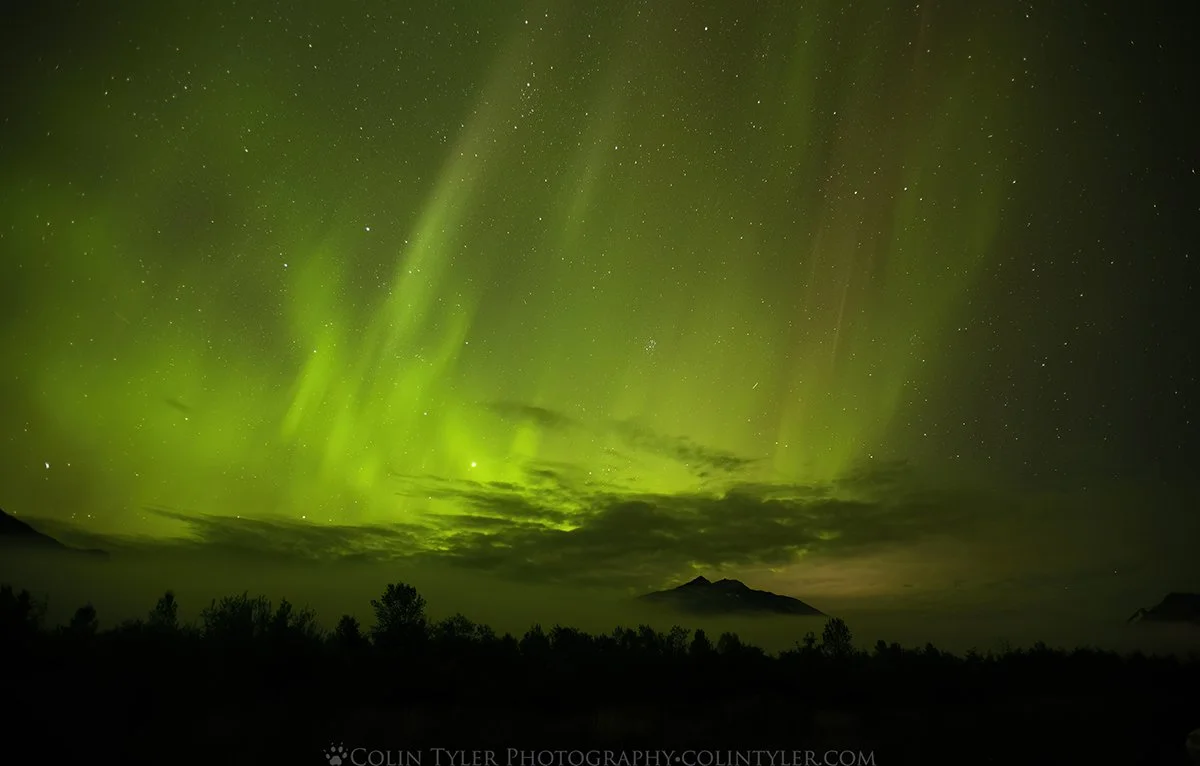 Aurora over the Chugach Mountains 