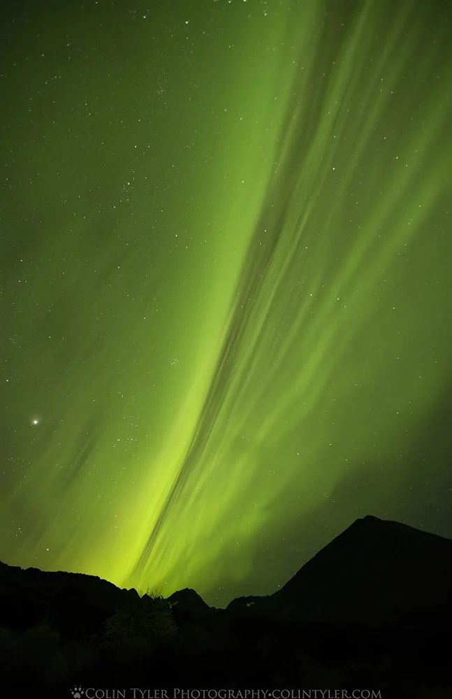 Aurora in the Kenai Mountains