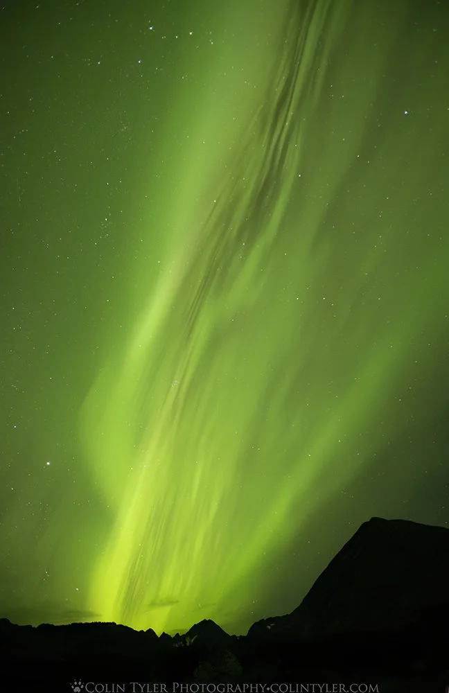Aurora in the Kenai Mountains