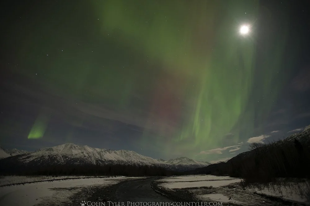 Aurora and moon over the Matanuska Mountains