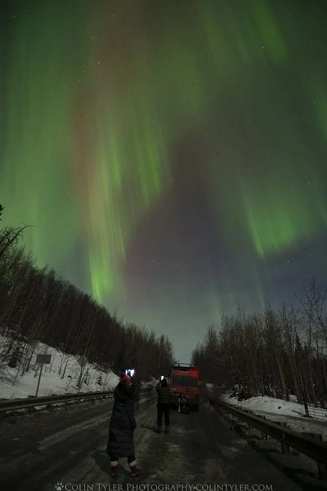 Aurora tour, guiding with Alaska Photo Treks