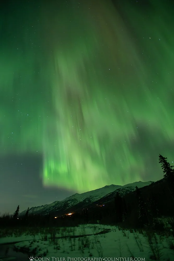 February aurora at the Eagle River Nature Center