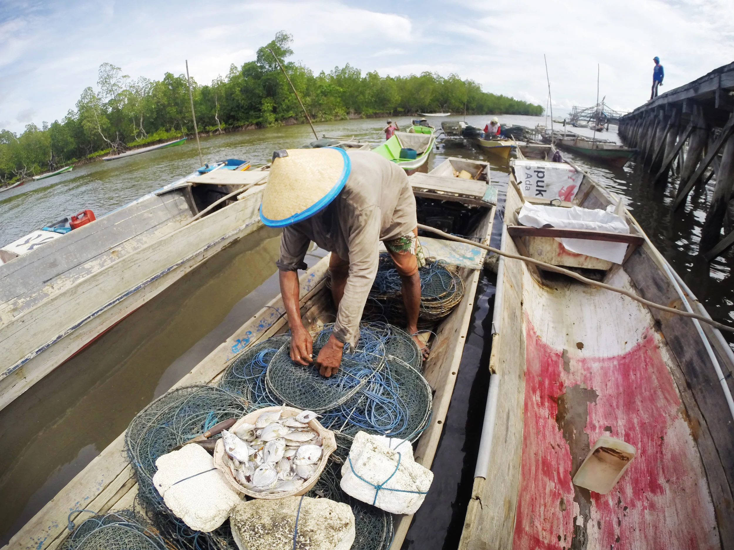 Asian_seafood_sustainable_farming.jpg