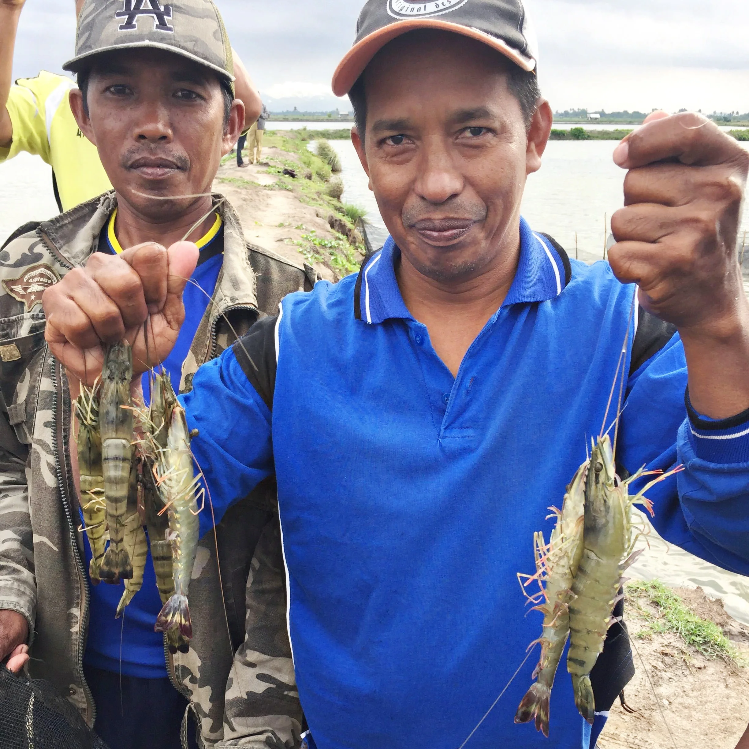 postelsia_asian_seafood_sustainability.jpg