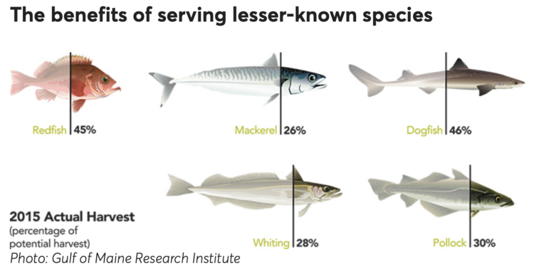 sustainable_seafood_postelsia.png
