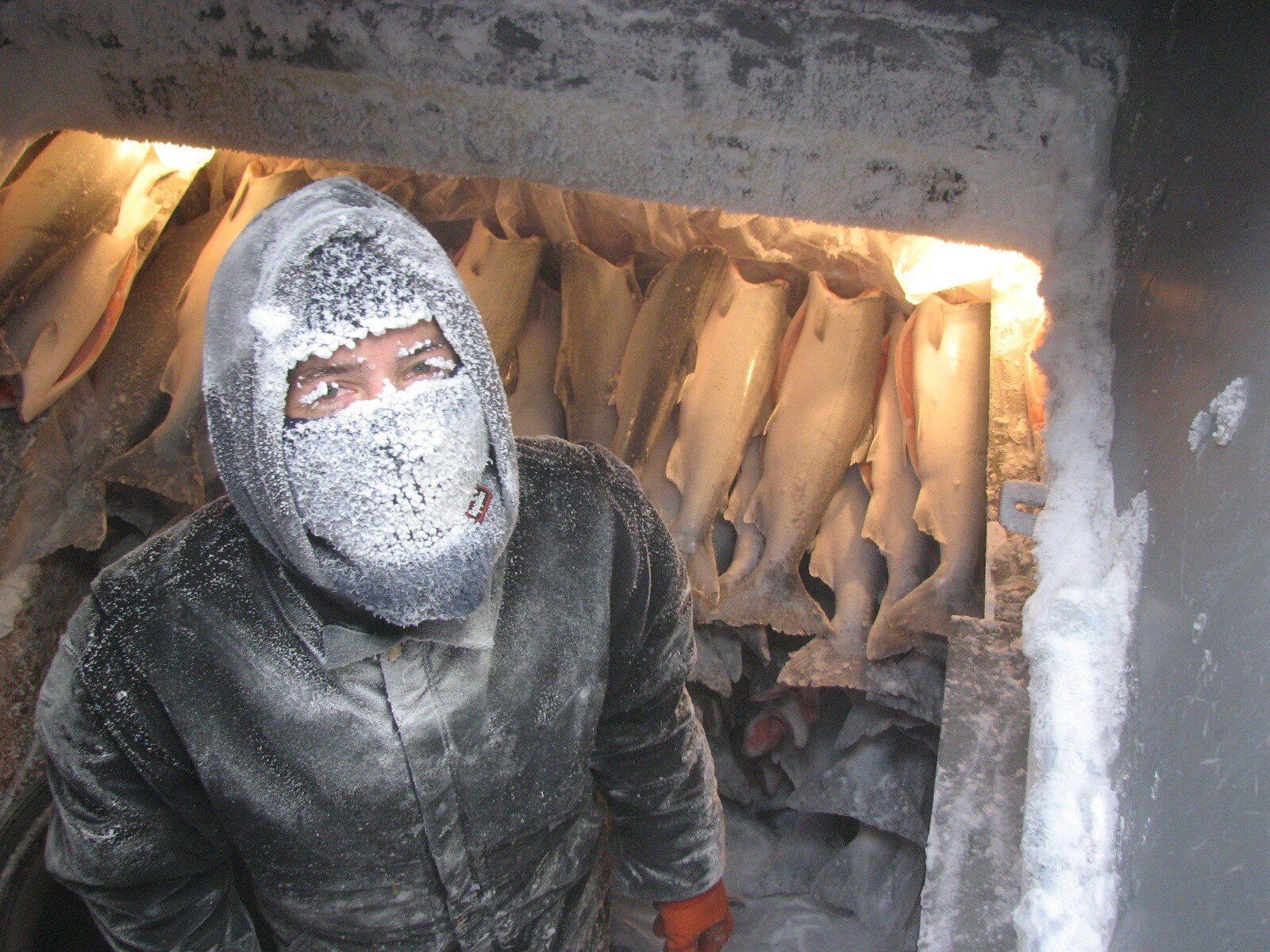 Photo: courtesy of the Alaska Seafood Marketing Institute