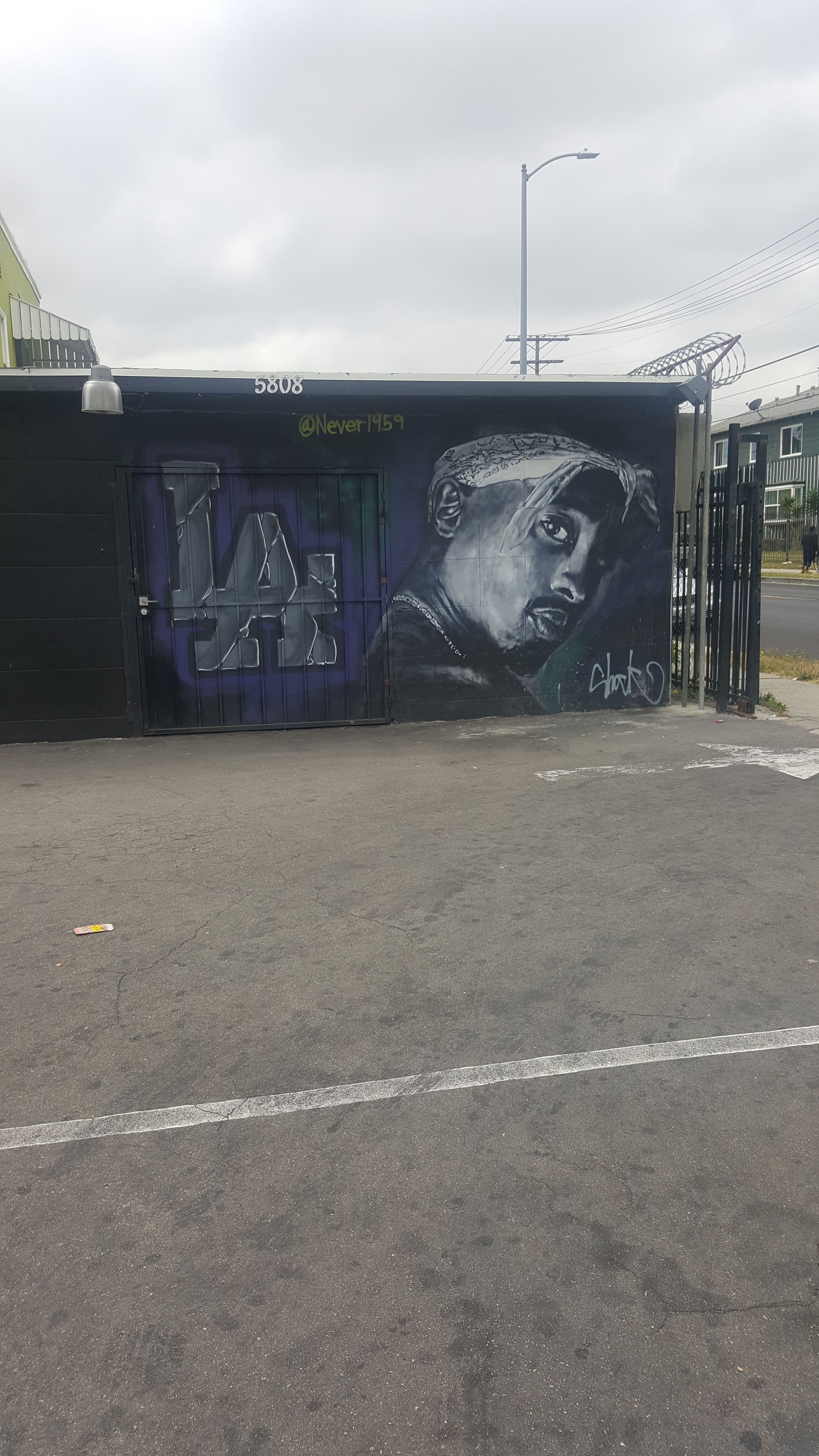Tupac get love in every part of California. Dope piece by @never1959 in South Central, LA.