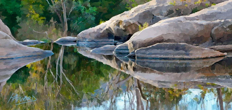 Gooram Falls Reflection