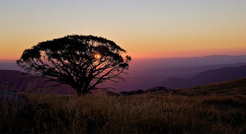 View from Mt Stirling