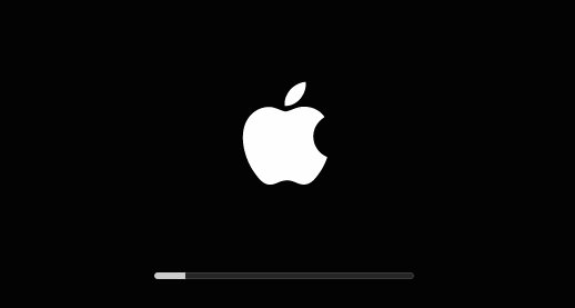 This is what I was hoping to see, some progress, but just a grey bar. The boot process seemed to be halted somehow.