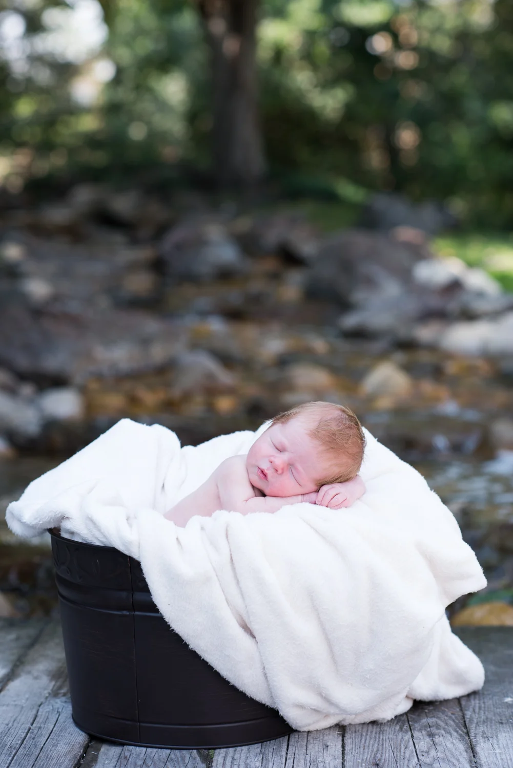RESIZED xander (1 of 1).jpg