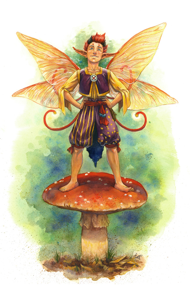 Toadstool Boy