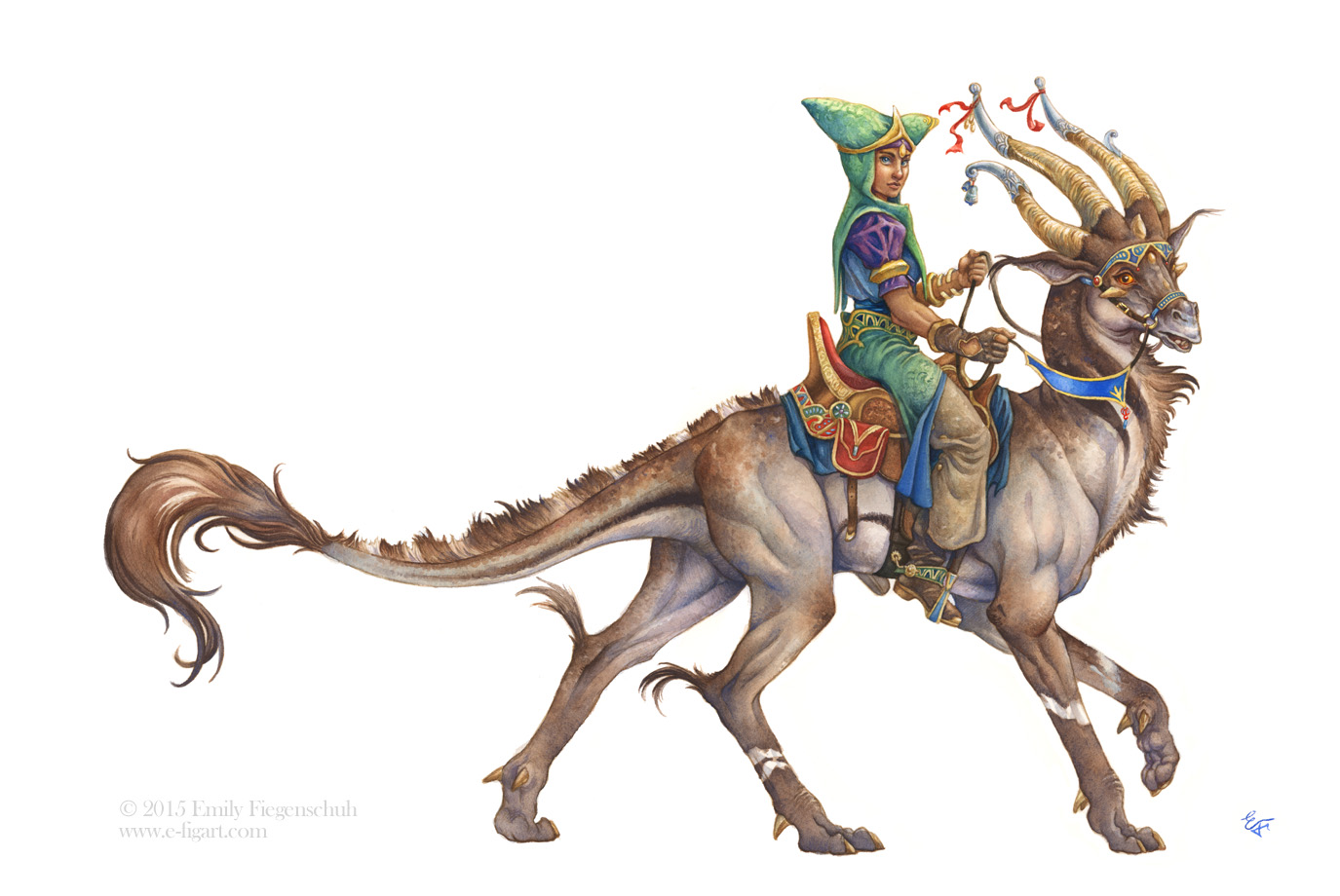 Ibak Rider