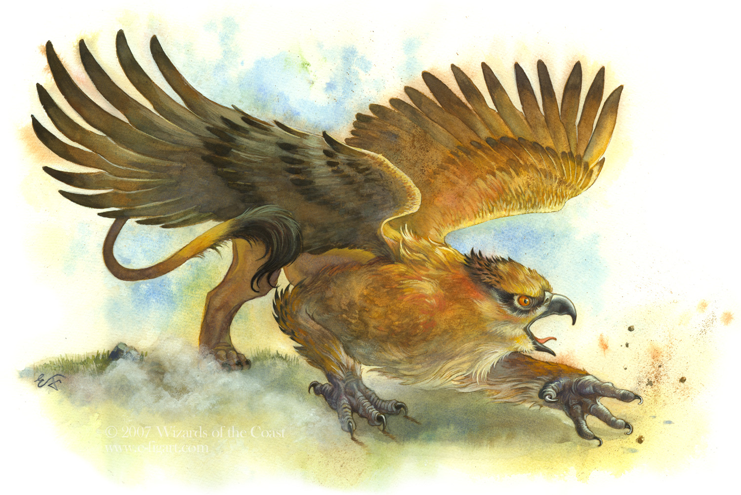 Griffon