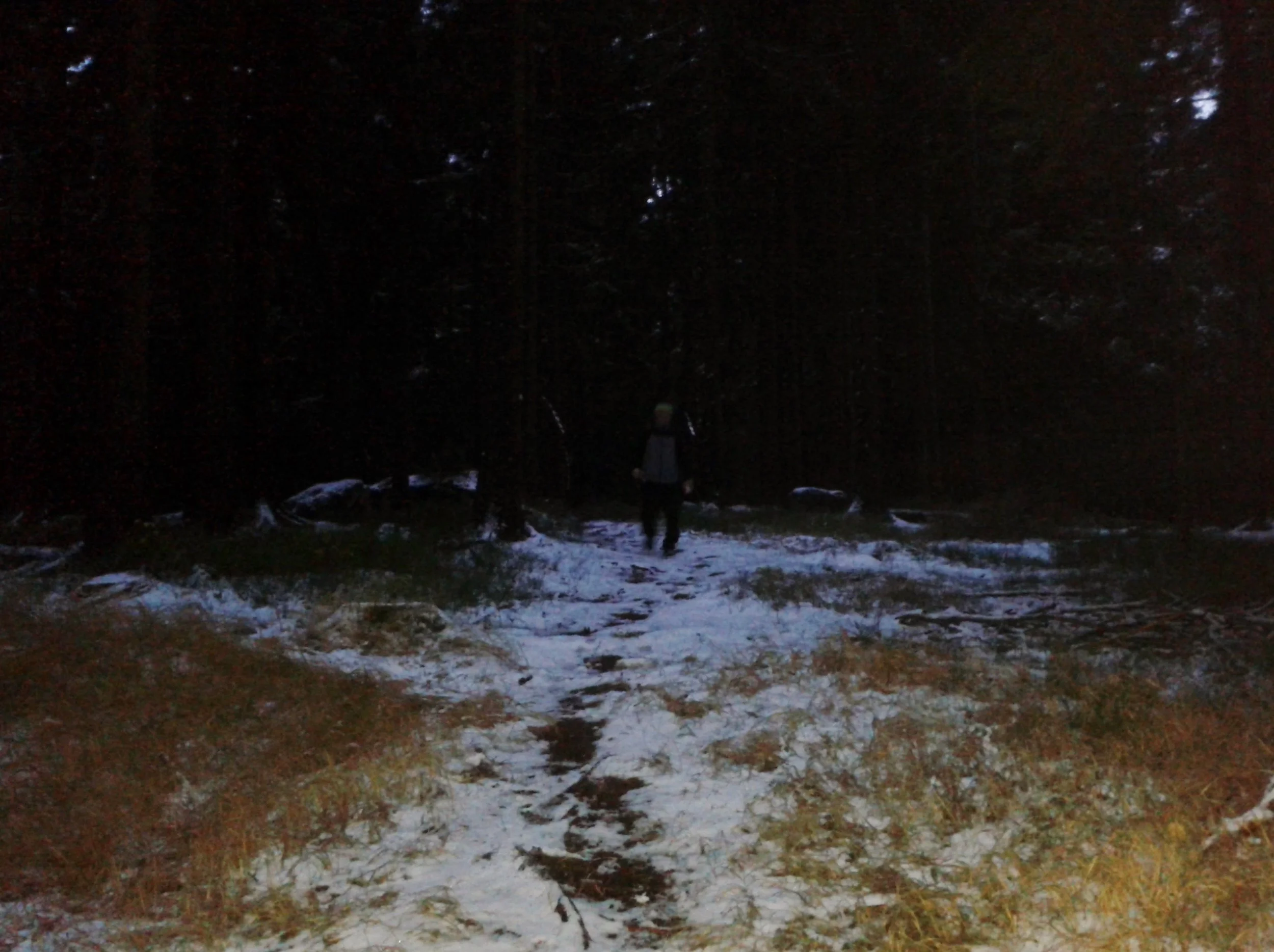 20161104_164359.jpg