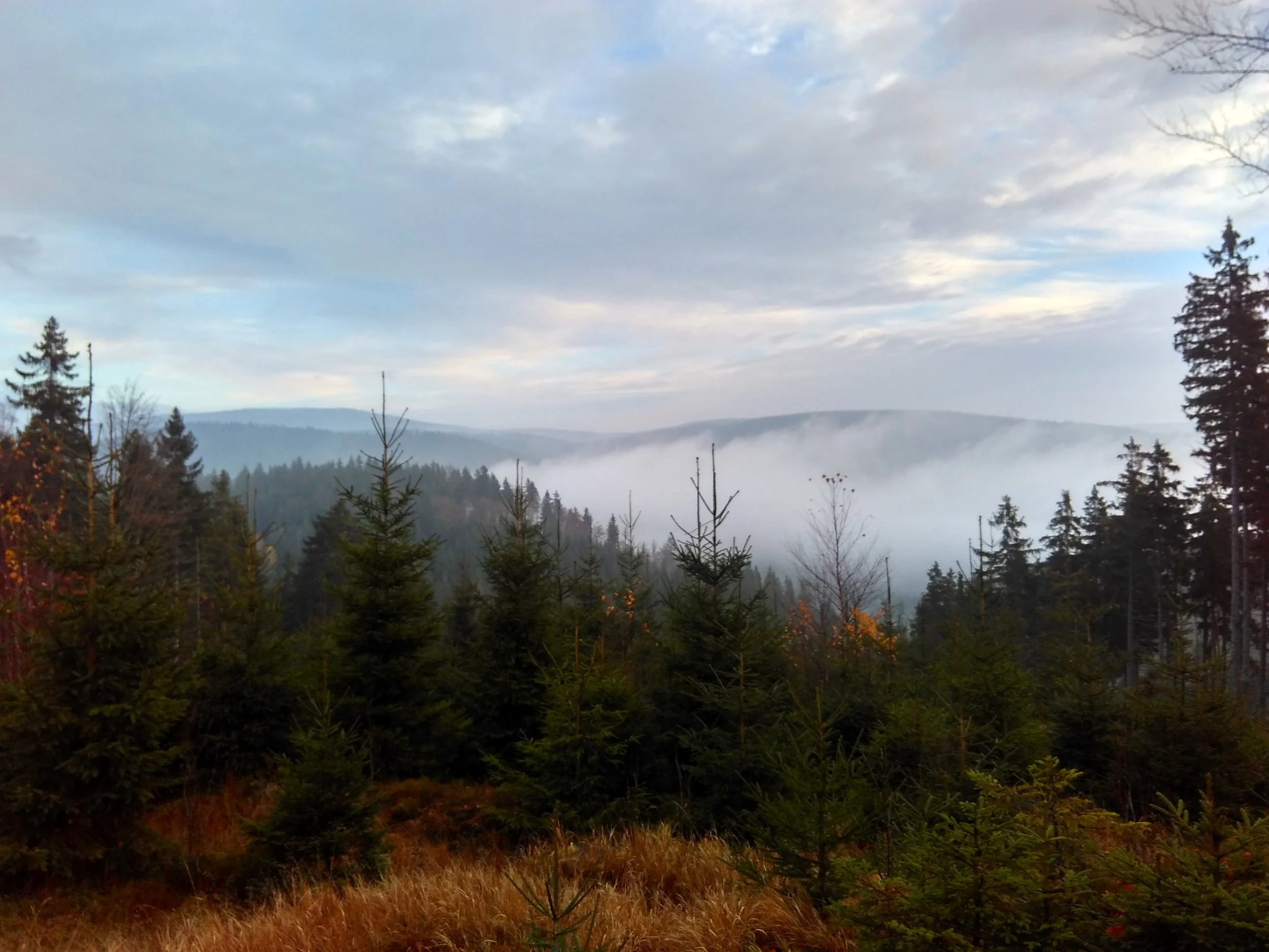 IMG_20161106_072948_HDR.jpg