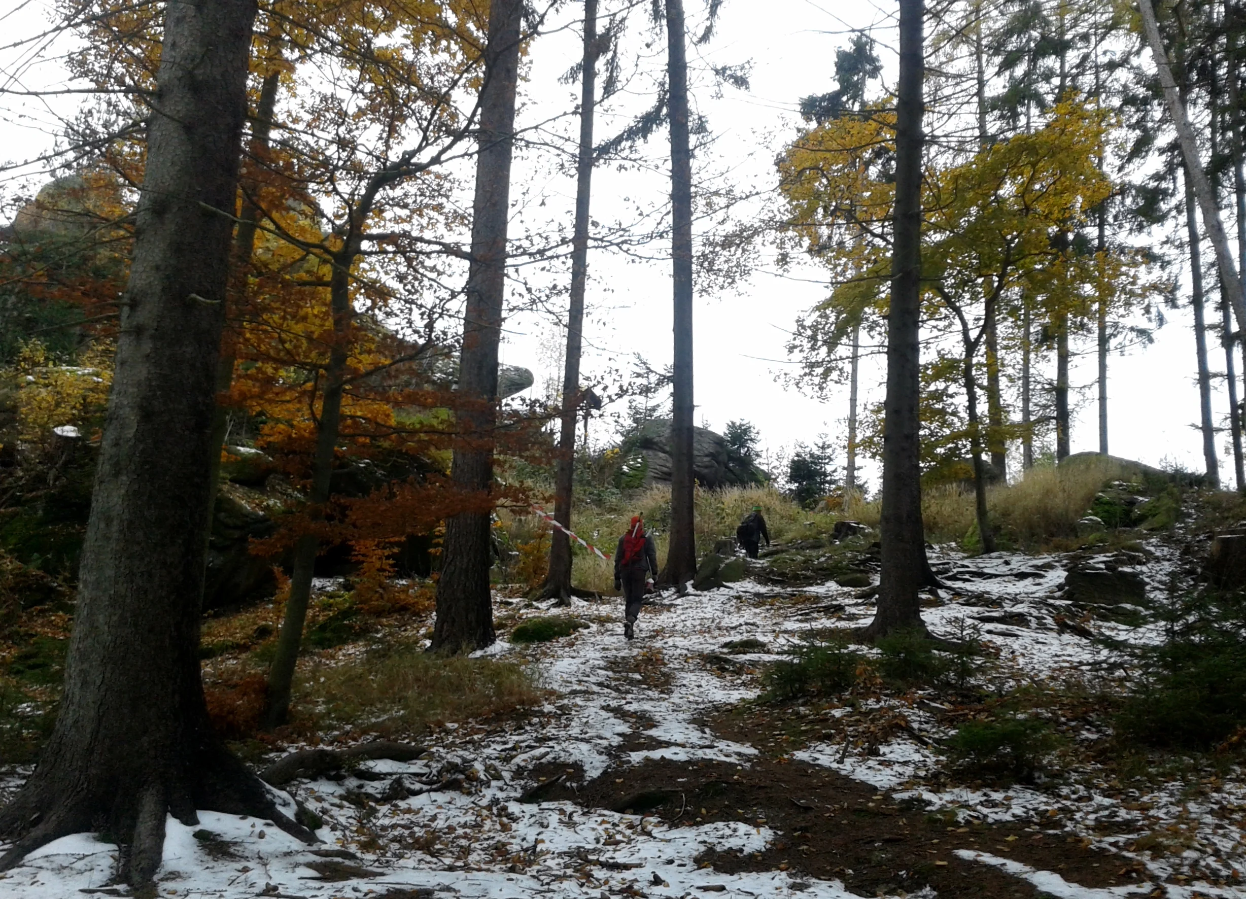 20161104_133850.jpg