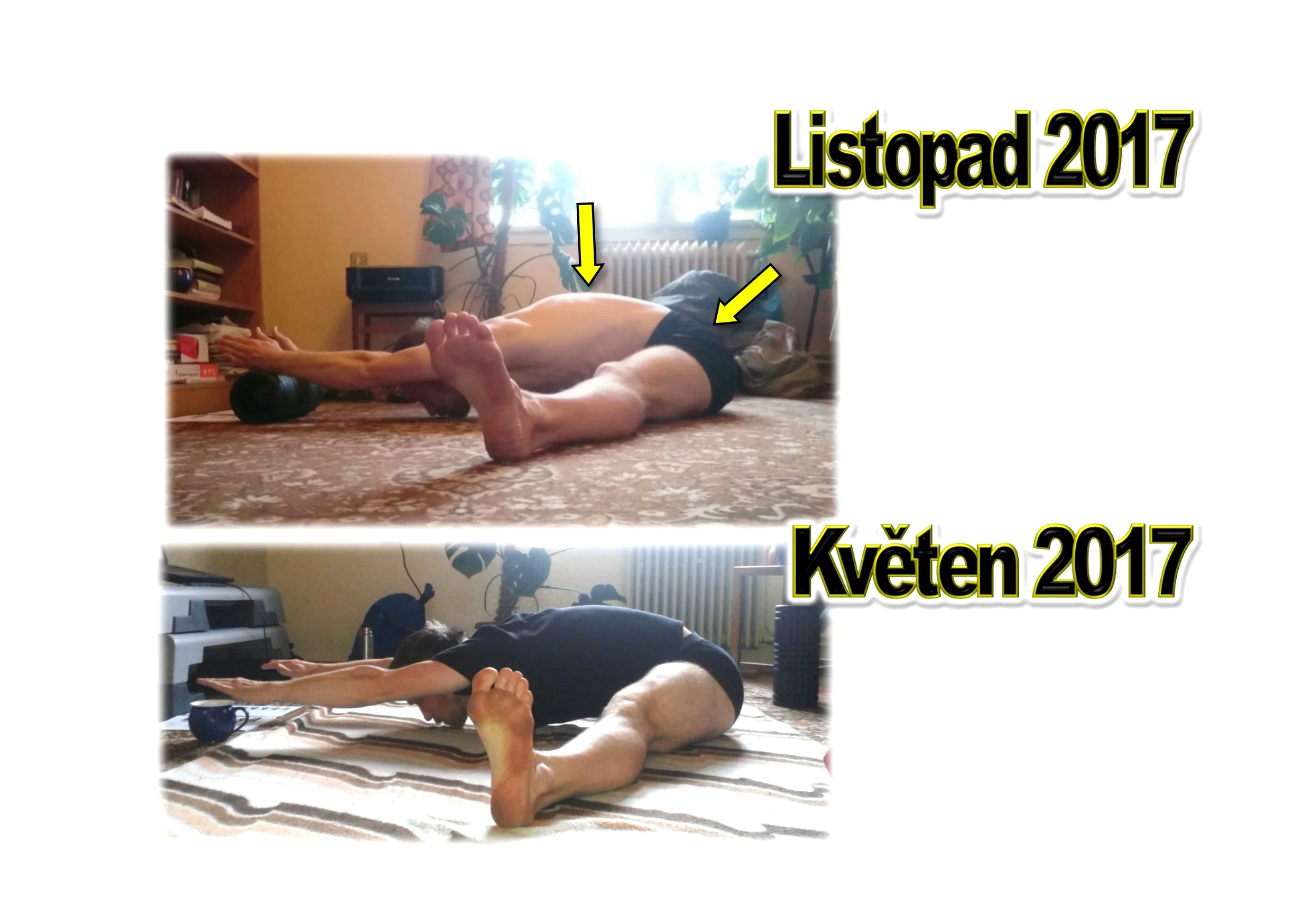 Before after Pancake 6 month progress + ARROWS.jpg