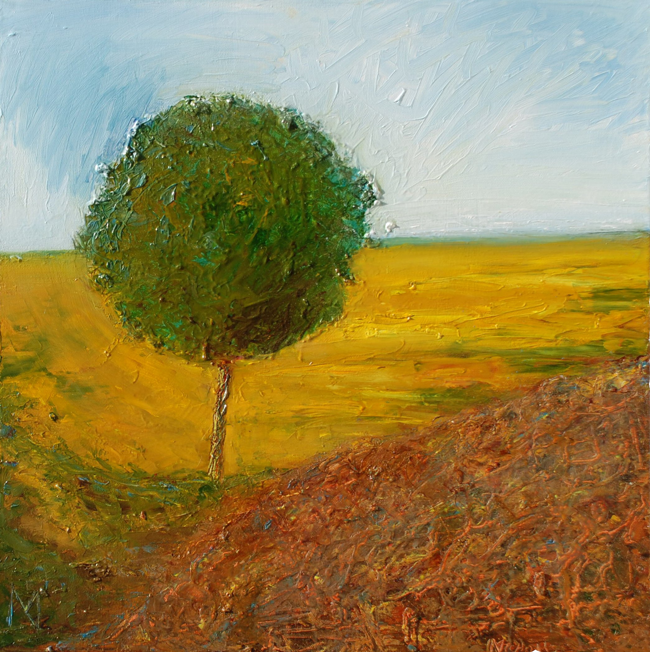 MIKE_NICHOLLS_11_ One Tree Hill.jpg