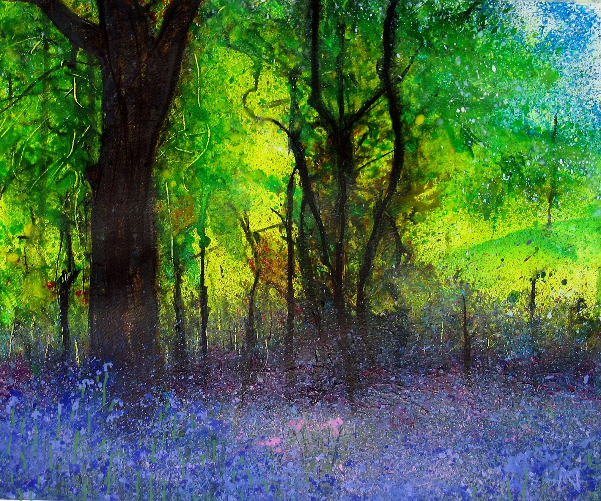 MIKE_NICHOLLS_09_Blue bell knoll.jpg