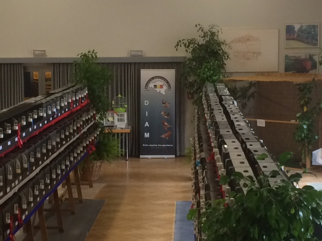 rodange 2015 banner .png